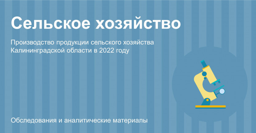 Производство продукции сельского хозяйства Калининградской области в 2022 году